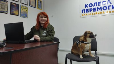 Людмила Лукіян, волонтерка благодійного фонду "Колеса перемоги" та собака Келлі Людмила Лукіян, волонтерка благодійного фонду "Колеса перемоги" та собака Келлі