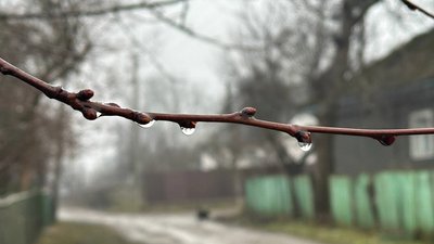 погода, Франківськ, 26 лютого, прогноз