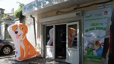 У Миколаєві працює інформаційний центр для людей, котрі планують прилаштувати безпритульну тварину
