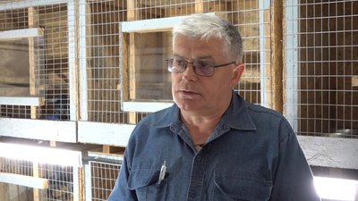 В Одеському зоопарку лікують їжака, який сам прийшов до закладу