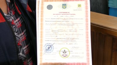 Рис по-українськи: як його вирощують на Херсонщині