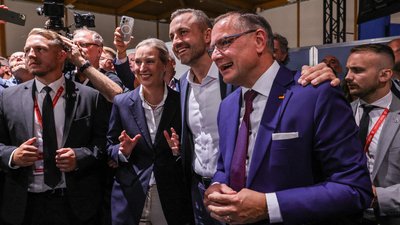 AFD, Аліса Вайдель, Ульріх Зігмунд, Тіно Хрупалла