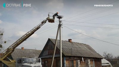 На Рівненщині лелекам встановлюють каркаси для гнізд, які не впадуть