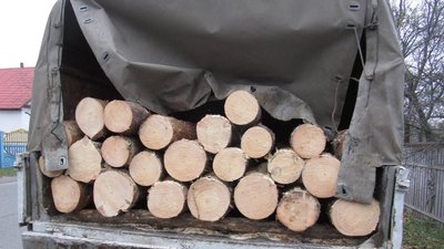 На Житомирщині за добу викрили трьох чоловіків у незаконних оборудках з деревиною На Житомирщині за добу викрили трьох чоловіків у незаконних оборудках з деревиною