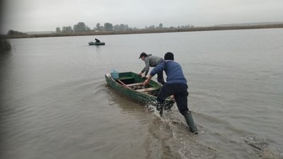 У волинську річку запустили 700 кілограмів риби У волинську річку запустили 700 кілограмів риби