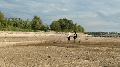 Місяць після підриву Каховської ГЕС: стан водойм Кушугумської громади на Запоріжжі – фоторепортаж