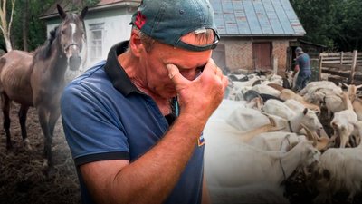 Переселенець з Донеччини утримує на Чернігівщині 100 кіз, 50 овець і 7 коней