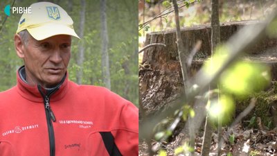 Рівненщина: очевидці вважають, що справу пійманого "на гарячому" лісника – затягують