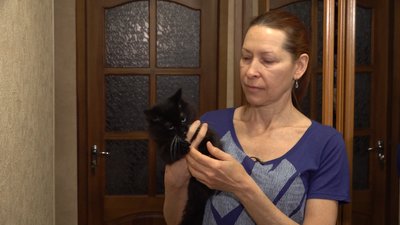 Виводить нову породу котів. Черкащанка Ірина Мерзленко. СУСПІЛЬНЕ | ЛЮДИ