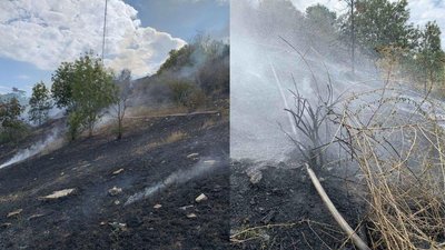В Одесі спалахнули схили на Трасі здоров'я