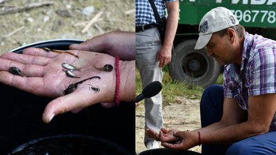 У Приютівській громаді на Кіровоградщині зарибнили Войнівське водосховище У Приютівській громаді на Кіровоградщині зарибнили Войнівське водосховище