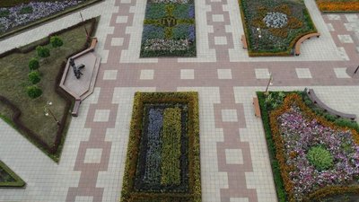 У Кропивницькому садівники техуніверситету створили з квітів державний прапор і хрест ЗСУ
