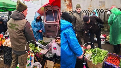 У Луцьку виявили продавців, які продавали червонокнижні рослини У Луцьку виявили продавців, які продавали червонокнижні рослини