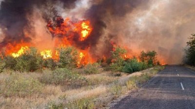 Другий день на Миколаївщині горить ліс — рятувальники локалізували пожежу Другий день на Миколаївщині горить ліс — рятувальники локалізували пожежу