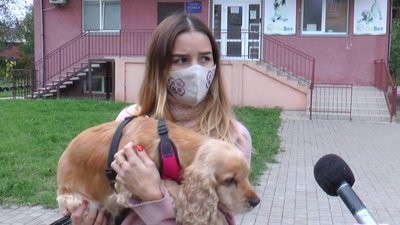 Знайшли ще одного. У Франківську продовжують отруюватися собаки