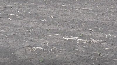 На Тернопільщині пилова буря завдала збитків агрофірмі - 1,5 мільйона гривень