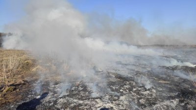 За вихідні на Львівщині згоріло понад 20 гектарів сухої трави За вихідні на Львівщині згоріло понад 20 гектарів сухої трави