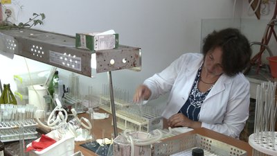 Якість повітря Якість повітря
