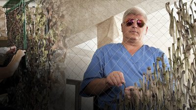 Микола Бойчук, волонтер, Калуш, "Волонтерська Юність", сітки, "кікімори"