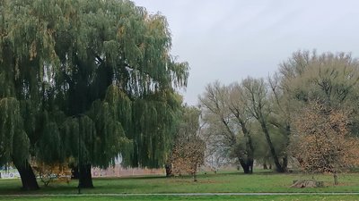 Молодіжний парк у Хмельницькому