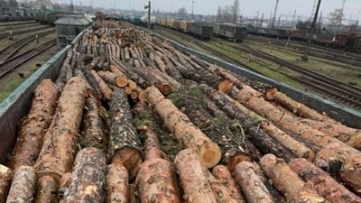 Деревина, яку намагалися вивезти до Румунії