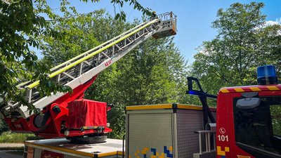 рятувальники, працівники ДСНС, порятунок птаха