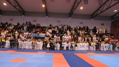Кубок України з таеквон-до