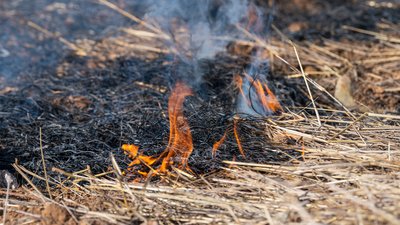 Пожежа на Чернігівщині: чоловіка госпіталізували з опіками через пожежу сухої трави