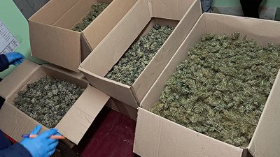 Вилучені під час обшуків речі Вилучені під час обшуків речі