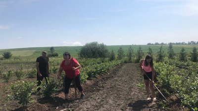 Сім'я на городі Сім'я на городі