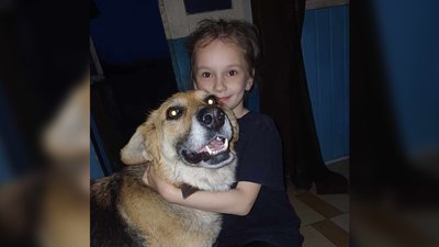 Собака, якого з Носівки на Чернігівщині забрали волонтери, у новій родині з дівчинкою