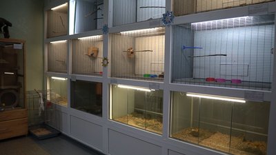 Як живуть тварини в сумському еколого-натуралістичному центрі