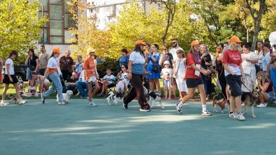 гавгав фест, Дніпро