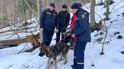 На Буковині запрацював додаток для пошуку людей в горах. Як ним користуватись