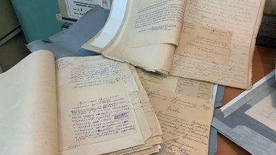 Українська Держава: чи підтримувала Миколаївщина Директорію під час революції 1917 року