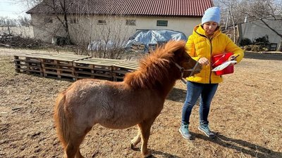 Поні й коні для реабілітації бійців: у Дніпрі дружина військового відкрила стартап Поні й коні для реабілітації бійців: у Дніпрі дружина військового відкрила стартап