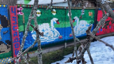 "Вишивка" на паркані: як на Чернігівщині подружжя створює картини з різнокольорових кришечок "Вишивка" на паркані: як на Чернігівщині подружжя створює картини з різнокольорових кришечок