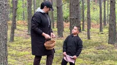 Грибний сезон на Волині: чи є врожай та які ціни в заготівельників Грибний сезон на Волині: чи є врожай та які ціни в заготівельників