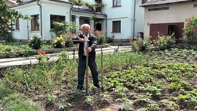 Чоловік підв'язує помідори Чоловік підв'язує помідори