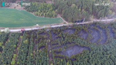 пожежа 30га лісу пожежа 30га лісу