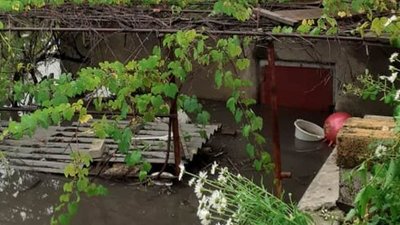 Повалені дерева та затоплені будинки: наслідки негоди у Херсоні