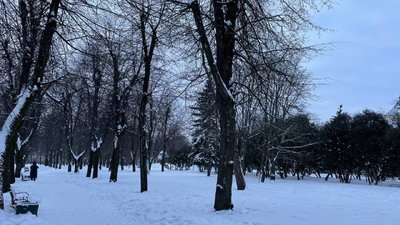 Житомир, погода, парк, природа, січень 2026 року