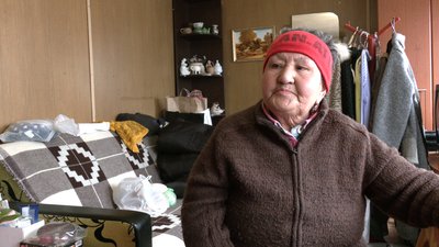 Виселення собачого притулку у Рівному: що відомо та які перспективи Виселення собачого притулку у Рівному: що відомо та які перспективи