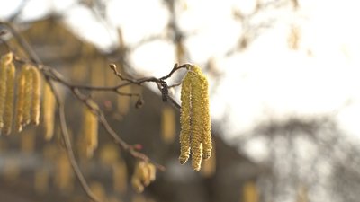 Погода на Рівненщині