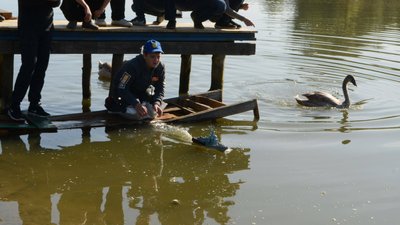 Судноплавні моделі луцького школяра розвивають швидкість авто Судноплавні моделі луцького школяра розвивають швидкість авто