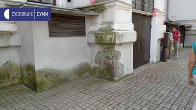 Музей і пліснява Музей і пліснява