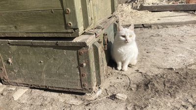 мала комишуваха мала комишуваха