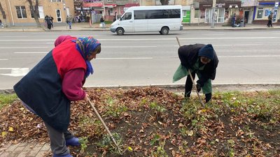 У Вінниці майже 15 тисяч кущів троянд готують до зими