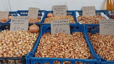 Ціни й сорти цибулі-саджанки на тернопільському ринку Ціни й сорти цибулі-саджанки на тернопільському ринку