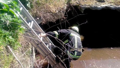 На Дніпропетровщині надзвичайники врятували собаку з занедбаного шестиметрового колодязя